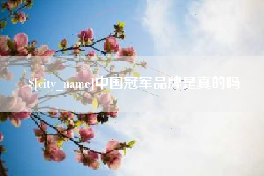 淮滨中国冠军品牌是真的吗