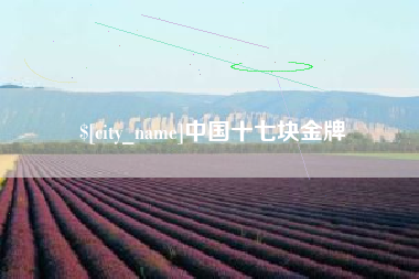 淮滨中国十七块金牌