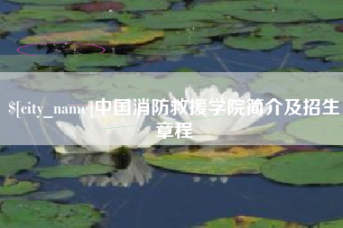 淮滨中国消防救援学院简介及招生章程