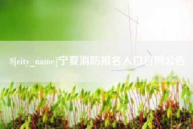 淮滨宁夏消防报名入口官网公告