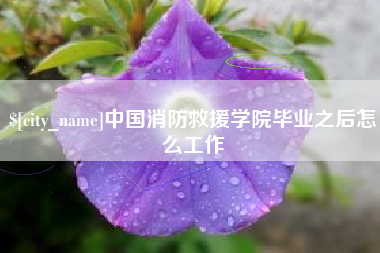 淮滨中国消防救援学院毕业之后怎么工作