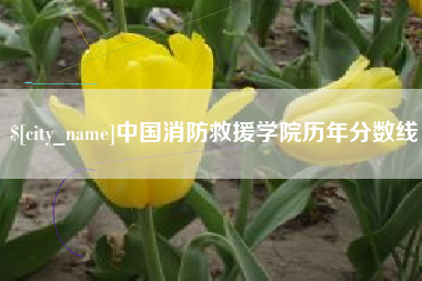 淮滨中国消防救援学院历年分数线