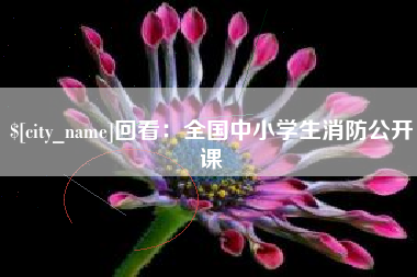淮滨回看：全国中小学生消防公开课