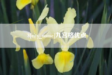 淮滨九宫格优点