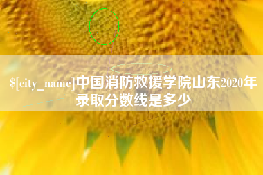 淮滨中国消防救援学院山东2020年录取分数线是多少