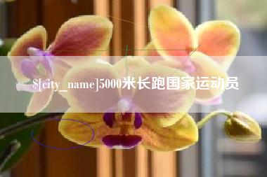 淮滨5000米长跑国家运动员