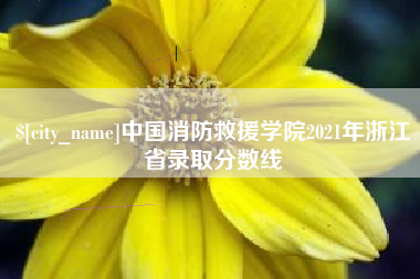 淮滨中国消防救援学院2021年浙江省录取分数线