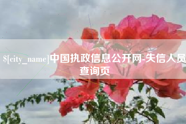 淮滨中国执政信息公开网-失信人员查询页