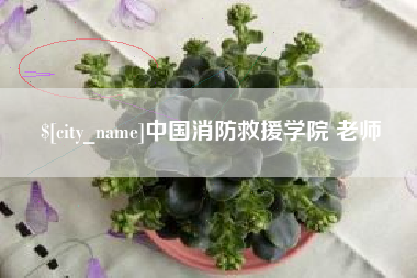 淮滨中国消防救援学院 老师