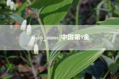 淮滨中国第9金