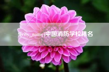 淮滨中国消防学校排名