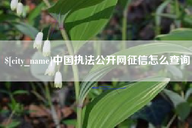 淮滨中国执法公开网征信怎么查询