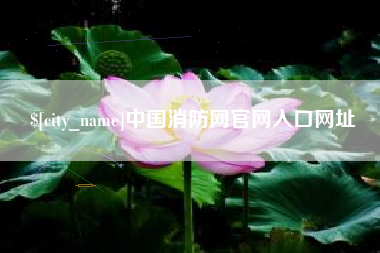淮滨中国消防网官网入口网址