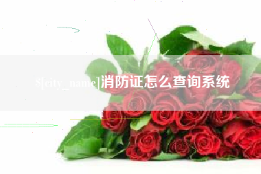 淮滨消防证怎么查询系统
