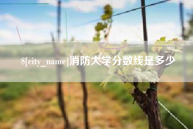 淮滨消防大学分数线是多少