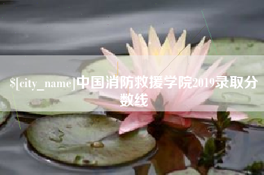 淮滨中国消防救援学院2019录取分数线