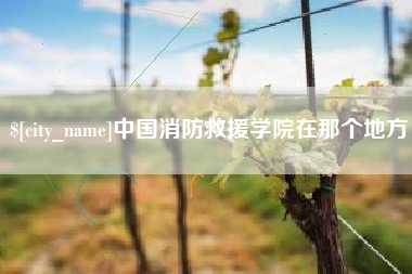 淮滨中国消防救援学院在那个地方