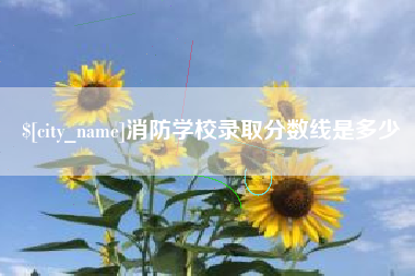 淮滨消防学校录取分数线是多少