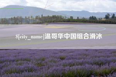 淮滨温哥华中国组合滑冰