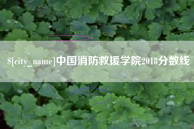 淮滨中国消防救援学院2018分数线