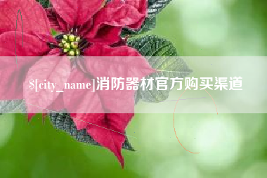 淮滨消防器材官方购买渠道