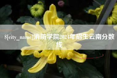 淮滨消防学院2024年招生云南分数线