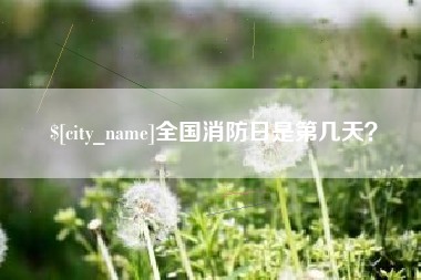 淮滨全国消防日是第几天？