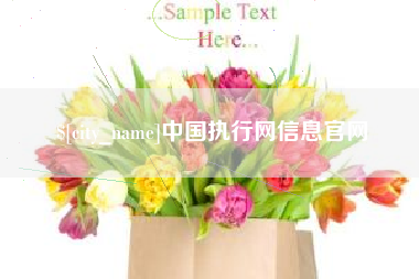 淮滨中国执行网信息官网