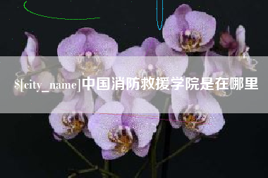淮滨中国消防救援学院是在哪里