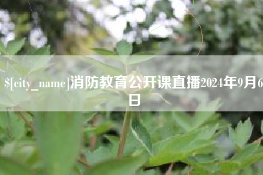 淮滨消防教育公开课直播2024年9月6日