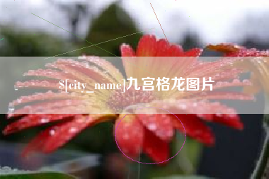淮滨九宫格龙图片