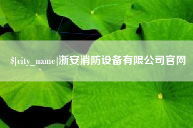 淮滨浙安消防设备有限公司官网