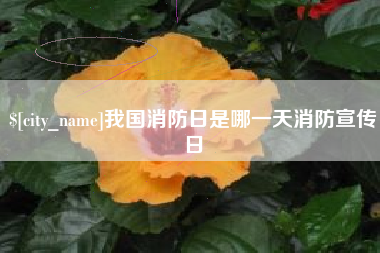 淮滨我国消防日是哪一天消防宣传日
