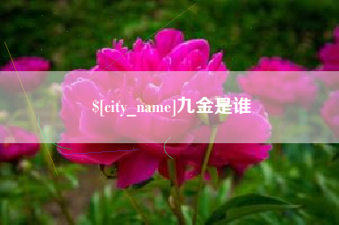 淮滨九金是谁