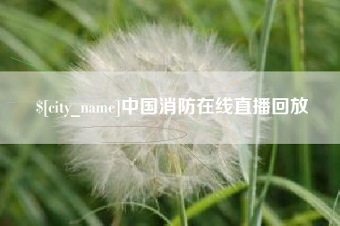 淮滨中国消防在线直播回放