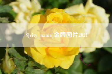 淮滨金牌图片2021