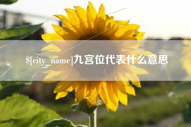 淮滨九宫位代表什么意思
