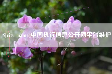 淮滨中国执行信息公开网平台维护