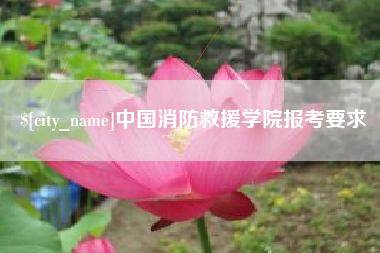 淮滨中国消防救援学院报考要求