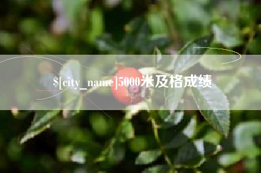 淮滨5000米及格成绩
