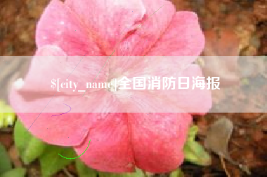 淮滨全国消防日海报