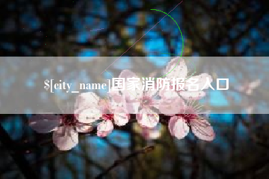 淮滨国家消防报名入口