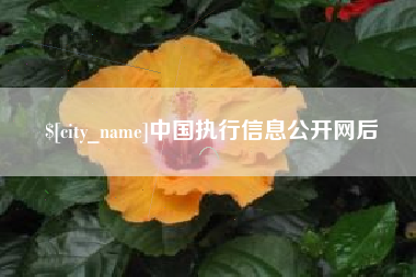 淮滨中国执行信息公开网后
