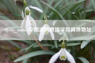淮滨中国消防救援学院具体地址