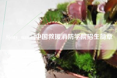 淮滨中国救援消防学院招生简章
