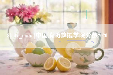 淮滨中国消防救援学院分数2020