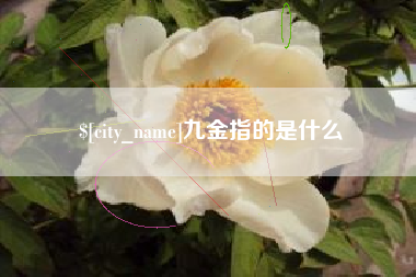 淮滨九金指的是什么