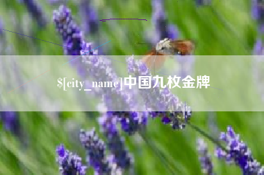 淮滨中国九枚金牌
