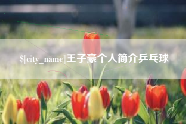 淮滨王子豪个人简介乒乓球