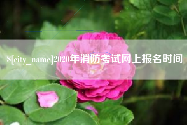 淮滨2020年消防考试网上报名时间